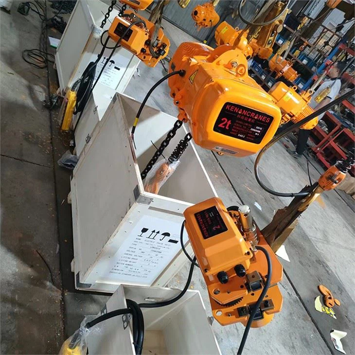 1 Ton Electric Hoist